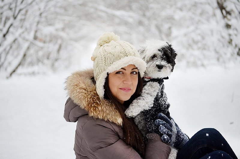 Der Hund im Schnee