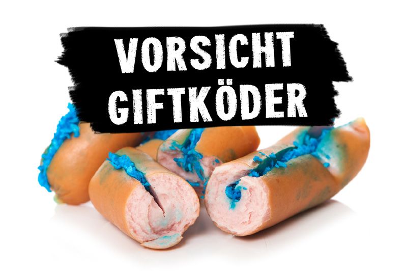 Giftkoeder Hund