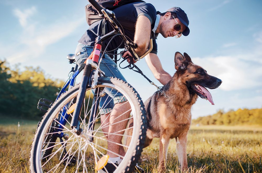 Fahrradfahren mit dem Hund